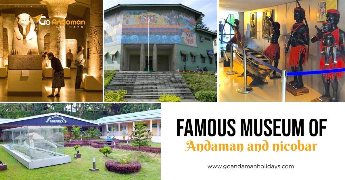 Top Museums to Visit in Andaman and Nicobar Islands