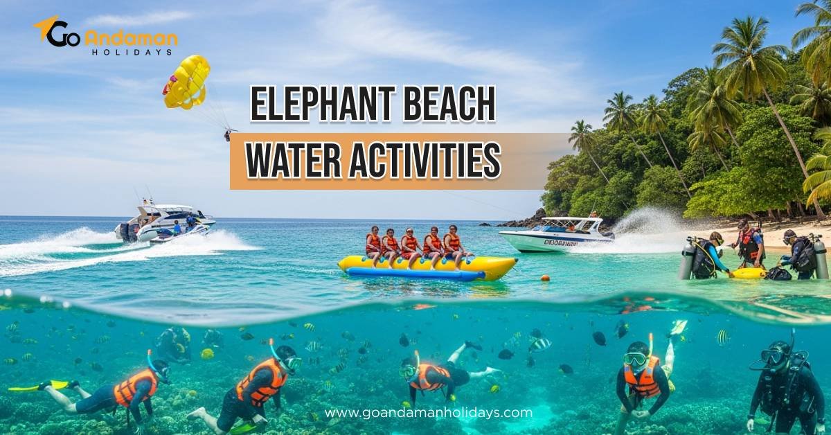 Elephant Beach Water Activities: Best Adventure Experiences in Andaman
