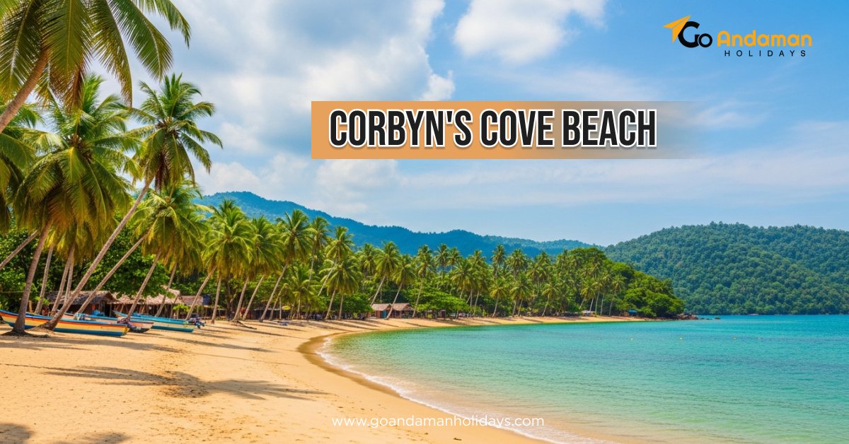 Corbyn’s Cove Beach: A Complete Travel Guide from Port Blair