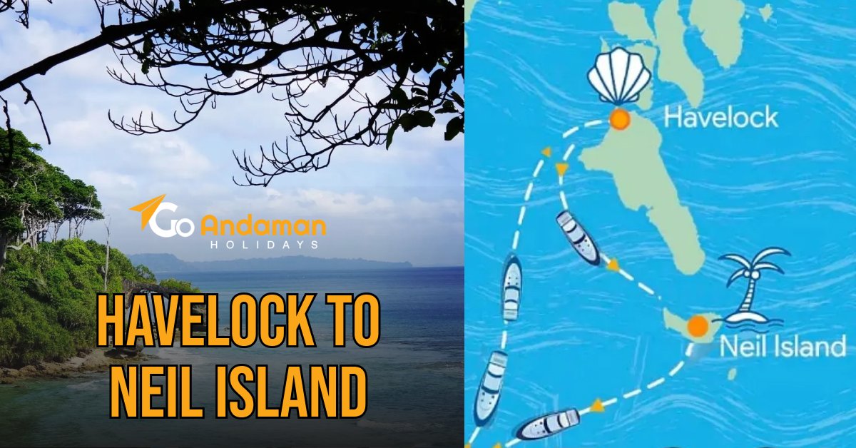 Complete Travel Guide: Havelock to Neil Island Ferry and Tips