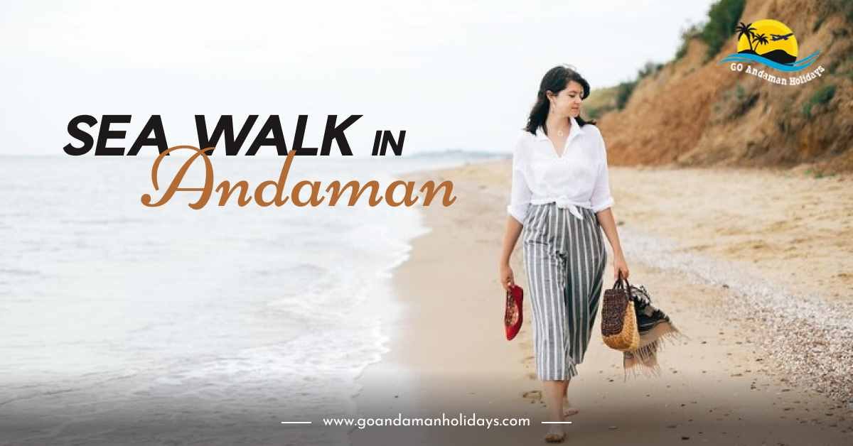 A Holistic Guide To Sea Walk in Andaman