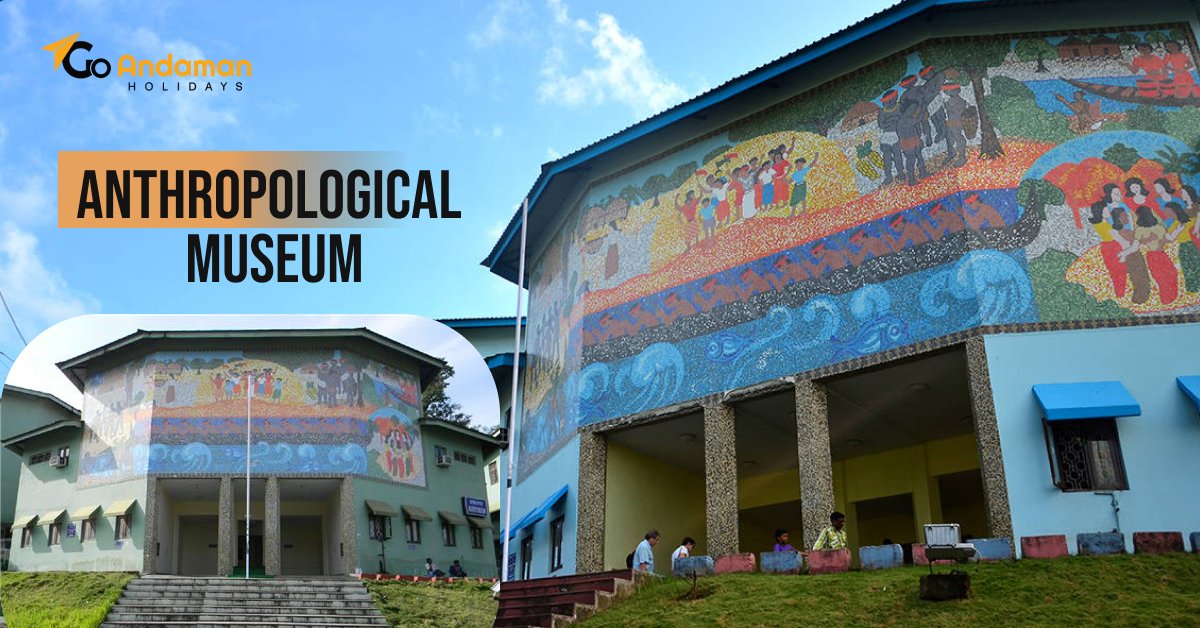 Top Things to Explore at the Anthropological Museum in Port Blair