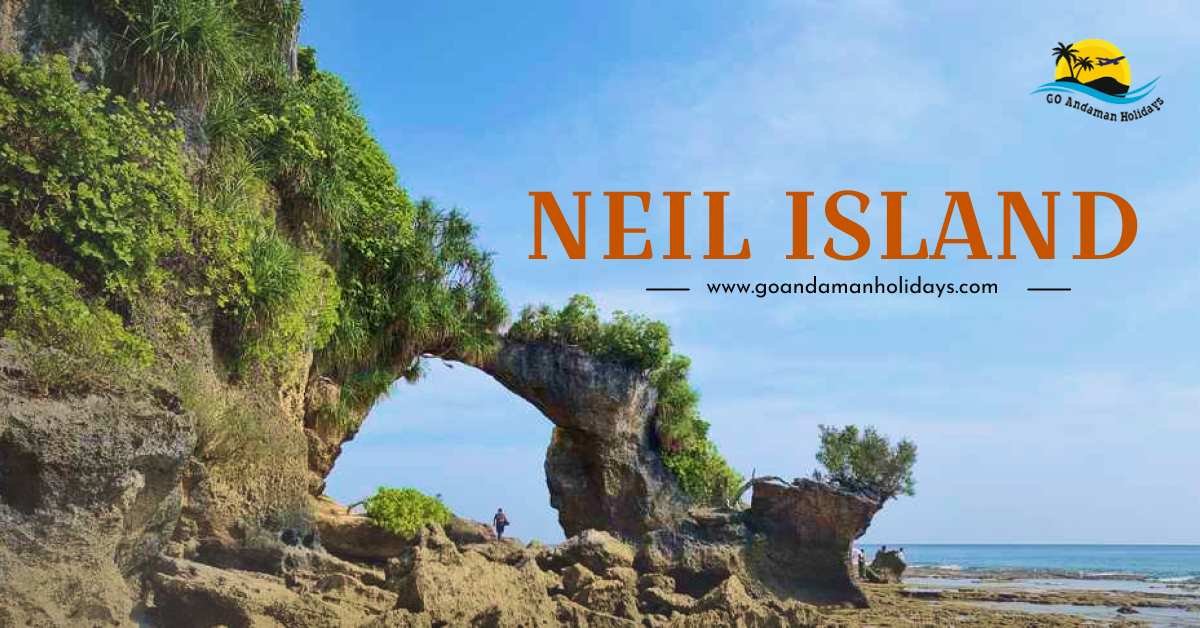 Neil Island: Discover the Real and Untouched Beauty of Andaman