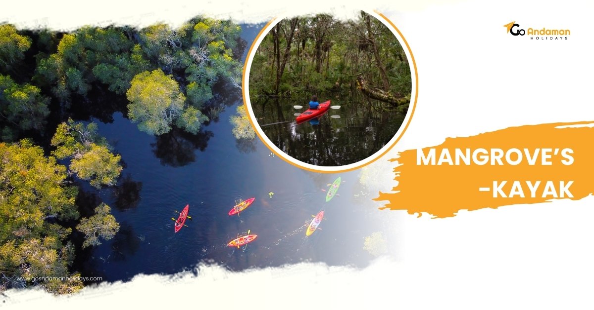 MANGROVE 