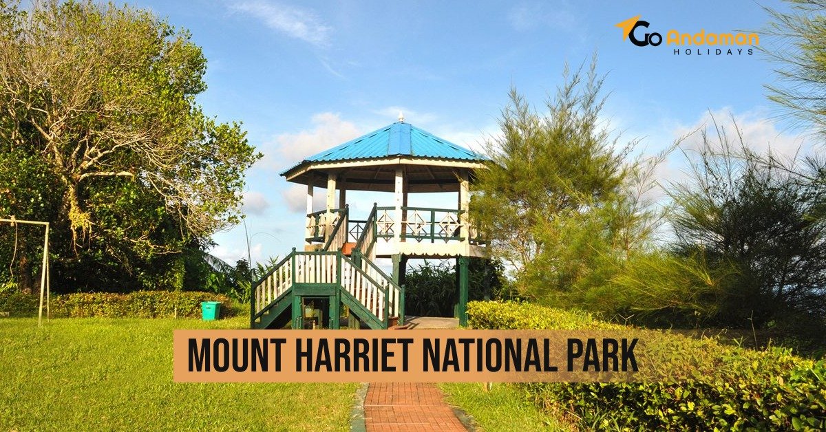 A Complete Travel Guide to Mount Harriet National Park, Andaman Islands