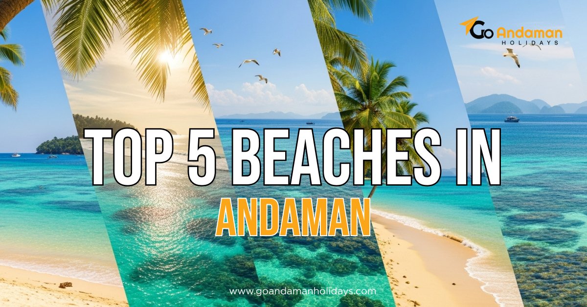 Top 5 Beaches in Andaman You Must Visit in 2025