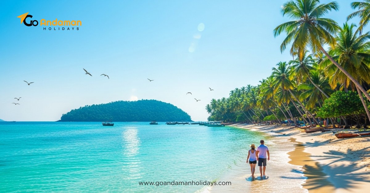 Best Time to Visit Andaman and Nicobar Islands | Travel Guide in 2025