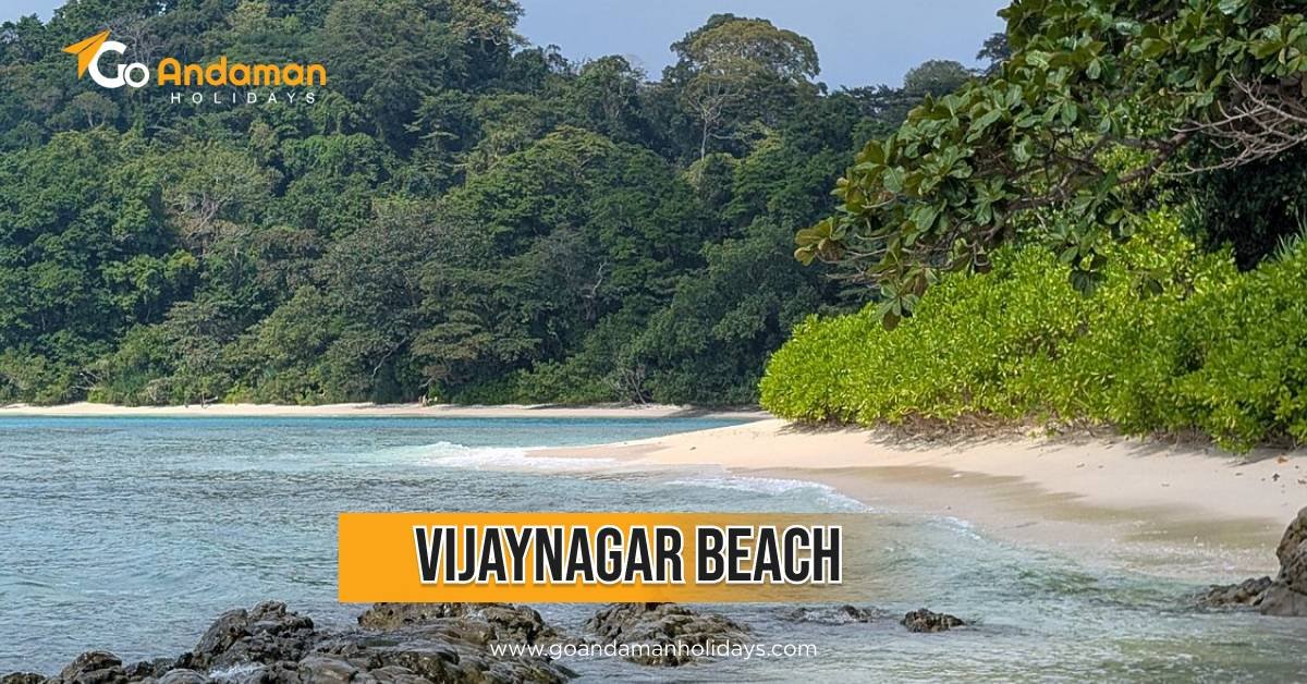 Vijaynagar Beach Andaman: Things to Do, Best Time & Travel Guide
